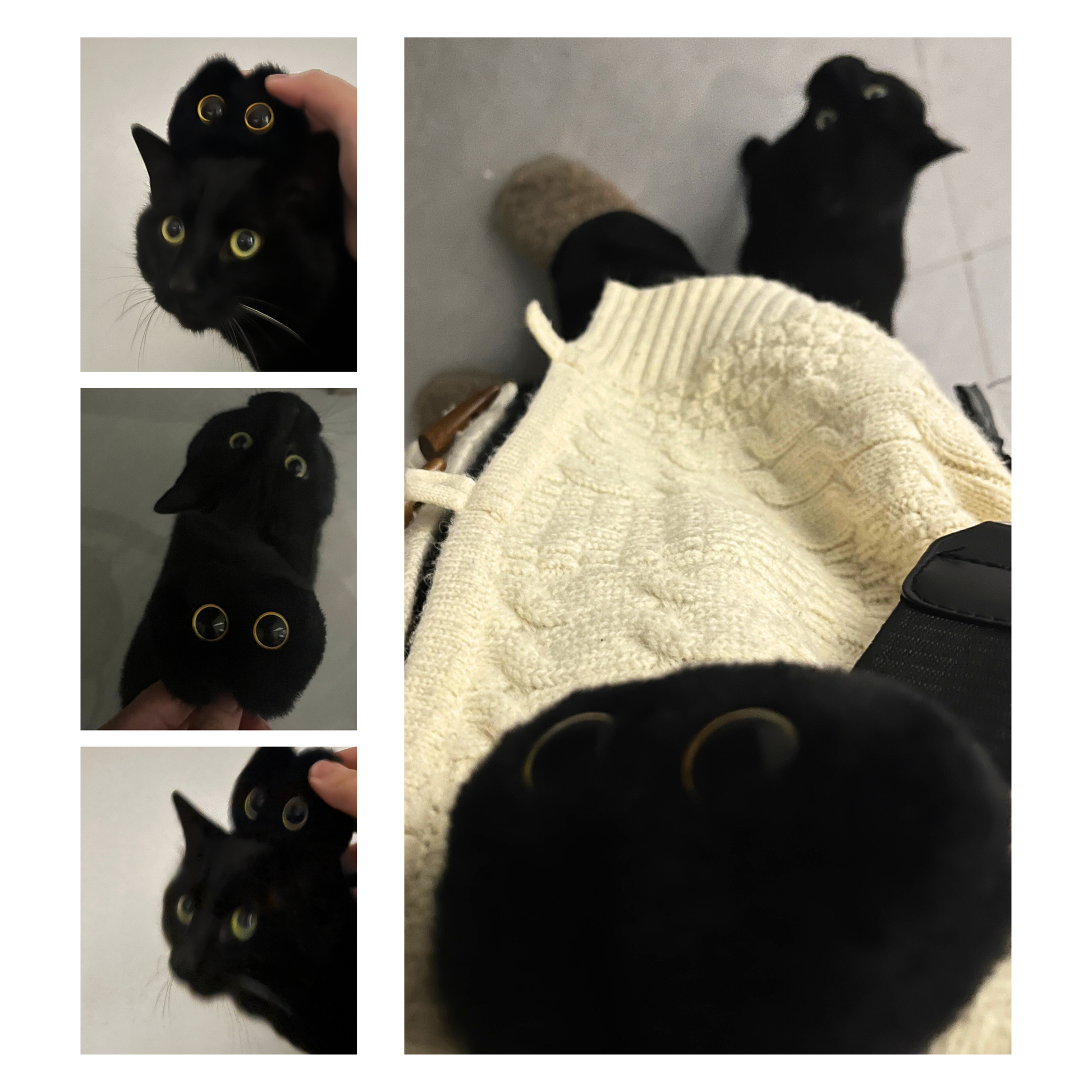 Black Cat Tang brooch – Pre-Order